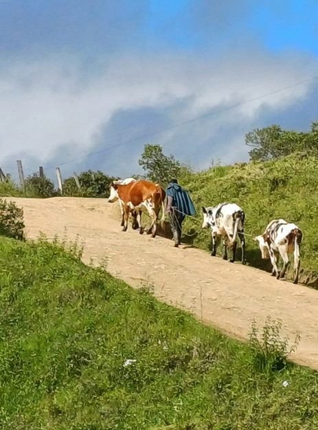 slider-img-02